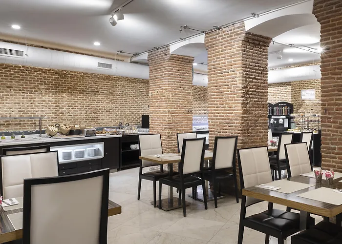 Petit Palace Posada Del PeineAlbergo